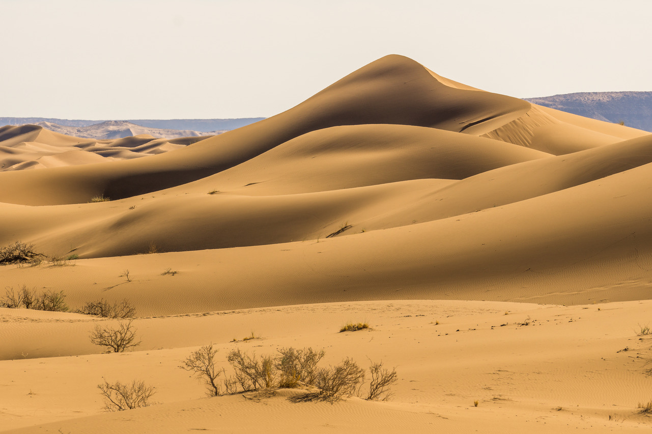 Sahara Secrets Discovery
