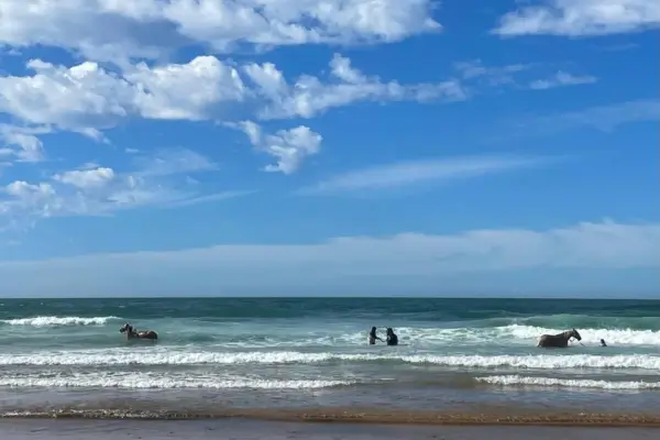 6-Day Essaouira Coastal Horseback Adventure
