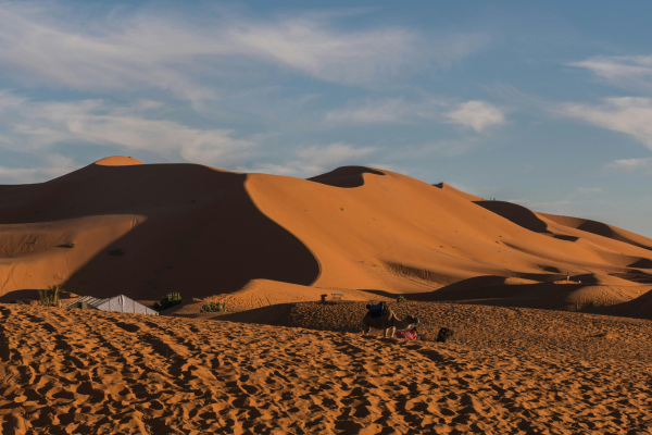 Sahara Secrets Discovery: 7-Day Immersive Desert Retreat from Marrakech to M’Hamid El Ghizlane