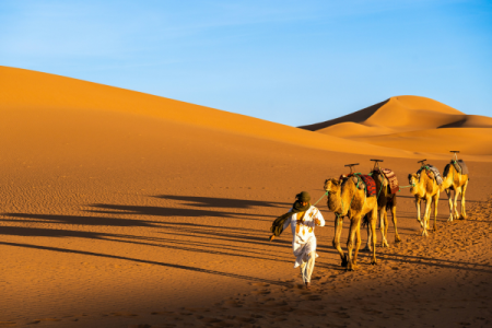 Sahara Desert Journey in M’Hamid El Ghizlane: An Authentic Moroccan Desert Experience