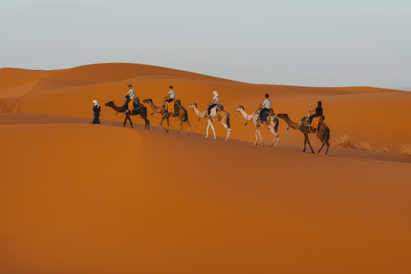 Sahara Secrets Discovery: 4-Day Immersive Desert Adventure from Marrakech to M’Hamid El Ghizlane