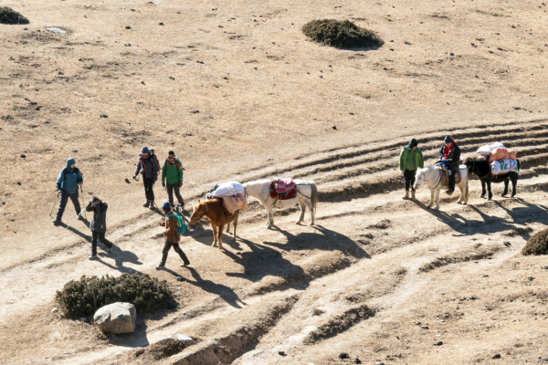 6-Day Essaouira Coastal Horseback Adventure