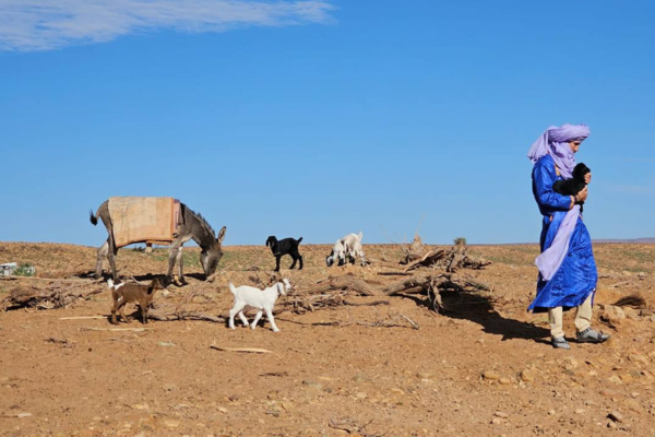7-Day Sahara Desert Survival Adventure in M’Hamid El Ghizlane