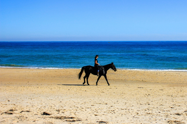 6-Day Essaouira Coastal Horseback Adventure