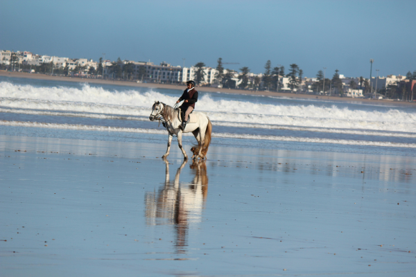 6-Day Essaouira Coastal Horseback Adventure