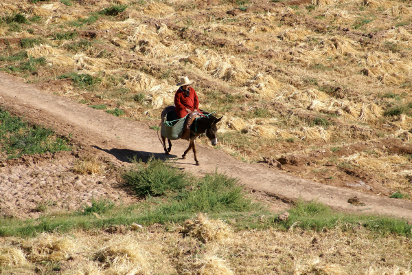 6-Day Essaouira Coastal Horseback Adventure