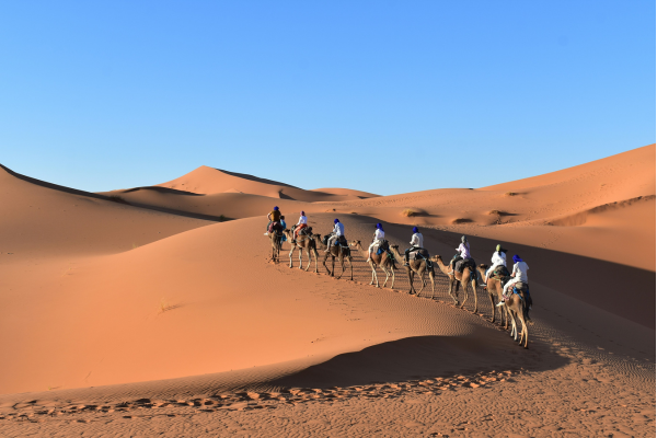 6-Day Sahara Desert Trek from Oasis Camp