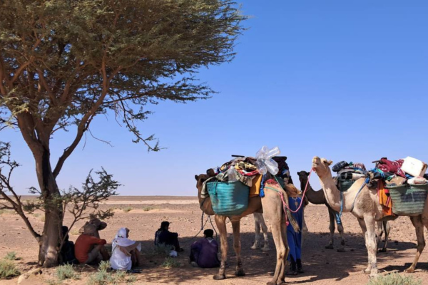 7-Day Sahara Desert Survival Adventure in M’Hamid El Ghizlane